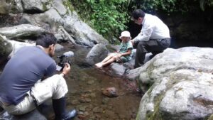 C2A62F0E-94EC-4F41-86D8-2860B04DA619